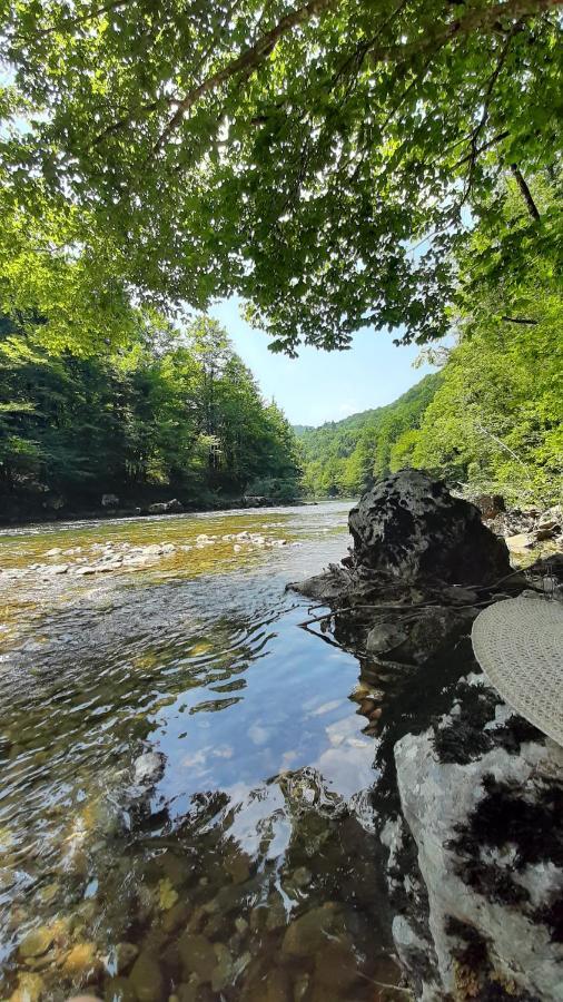 Kuca Za Odmor Forest Dream U Blizini Rijeke Kupe Plesce Exterior foto
