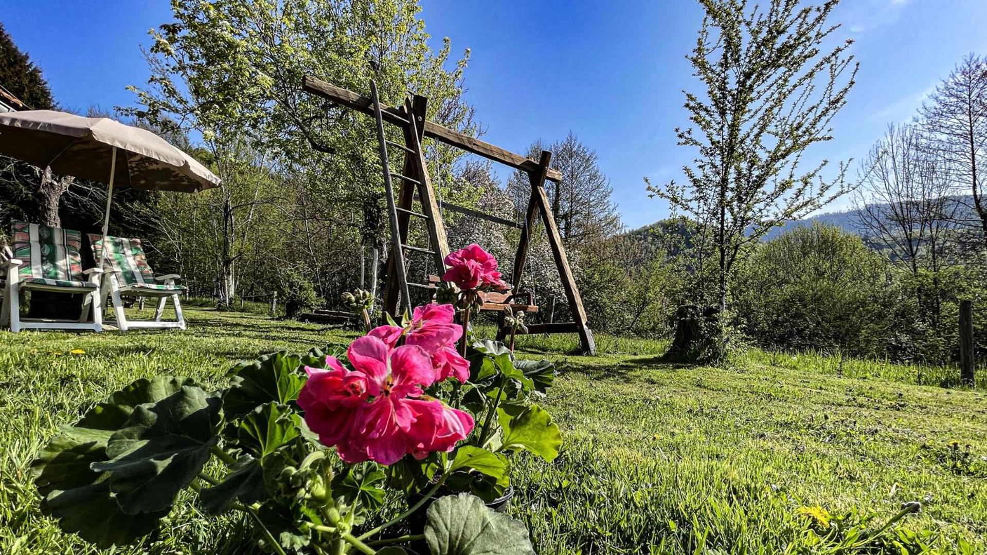 Kuca Za Odmor Forest Dream U Blizini Rijeke Kupe Plesce Exterior foto