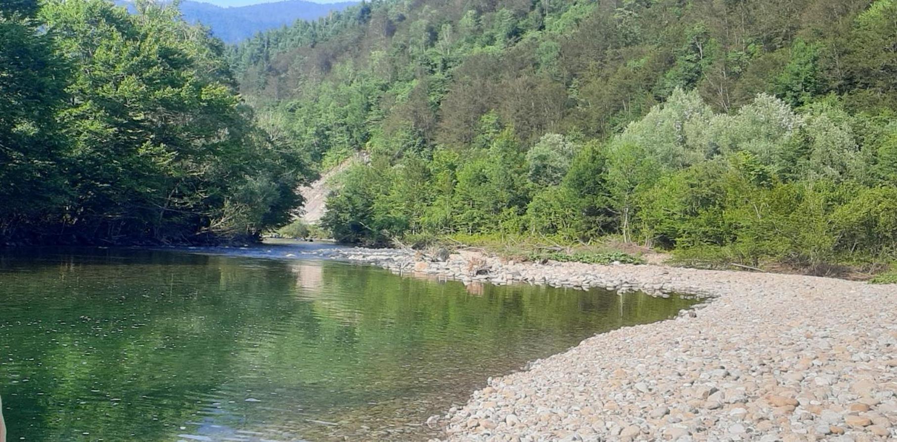 Kuca Za Odmor Forest Dream U Blizini Rijeke Kupe Plesce Exterior foto